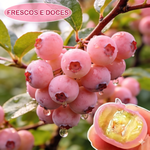 Sementes Premium de Mirtilo Rosa 😋 Um sabor único, delicioso e surpreendente! (Somente HOJE!)